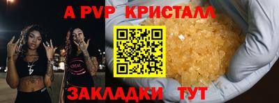 прущие грибы Пугачёв