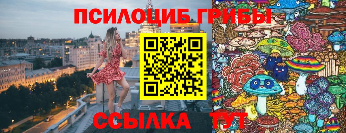 Петропавловск-Камчатский  Галлюциногенные грибы GOLDEN TEACHER  Галлюциногенные грибы прущие грибы  Вход с VPN 