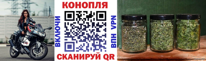 Каннабис гибрид Петропавловск-Камчатский